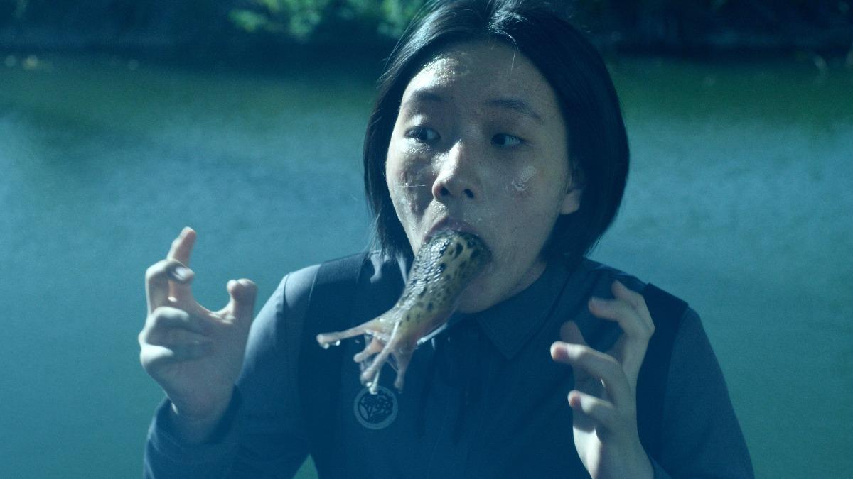 深度解读世界杯：赛事规则、历史回顾与未来展望 - 熊猫体育